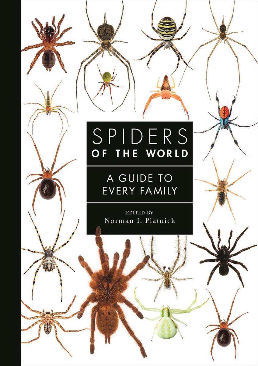 Buy Spiders of the World A Natural History The Chart & Map Shop