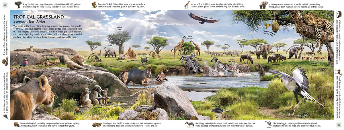 Buy Habitats of the World: A Breathtaking Visual Journey Through Earth