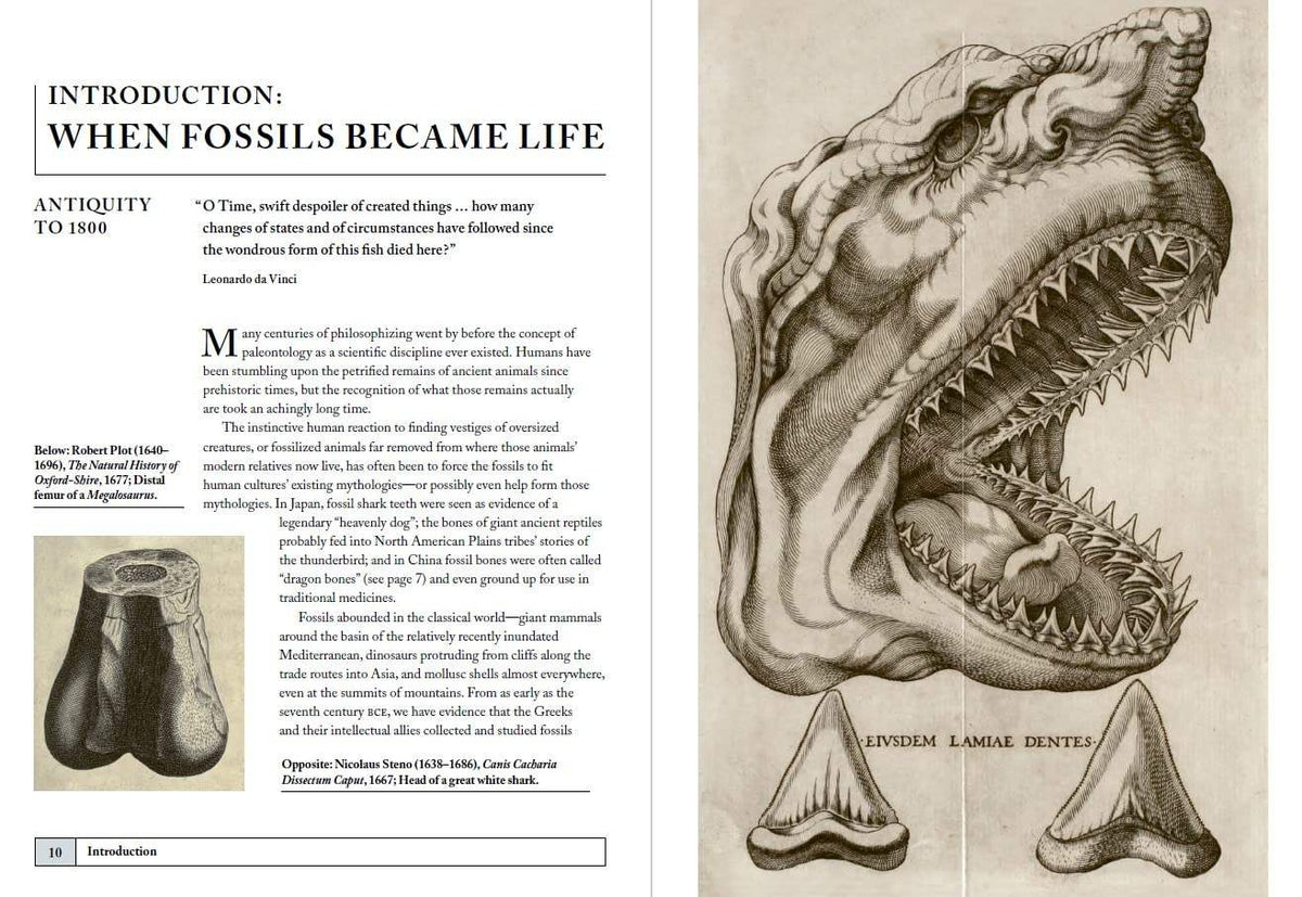 Buy Paleontology An Illustrated History The Chart & Map Shop