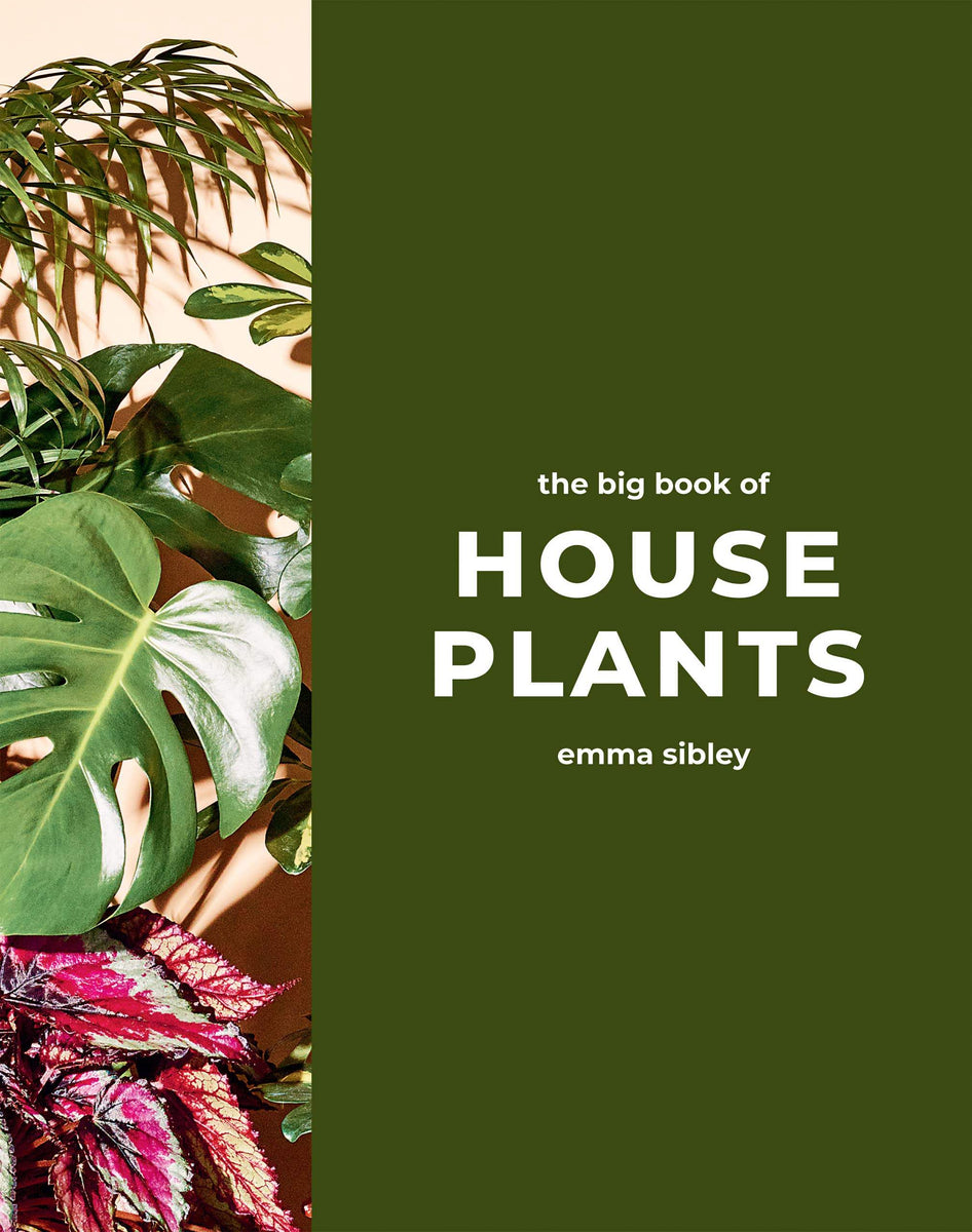Buy The Big Book of House Plants The Chart & Map Shop