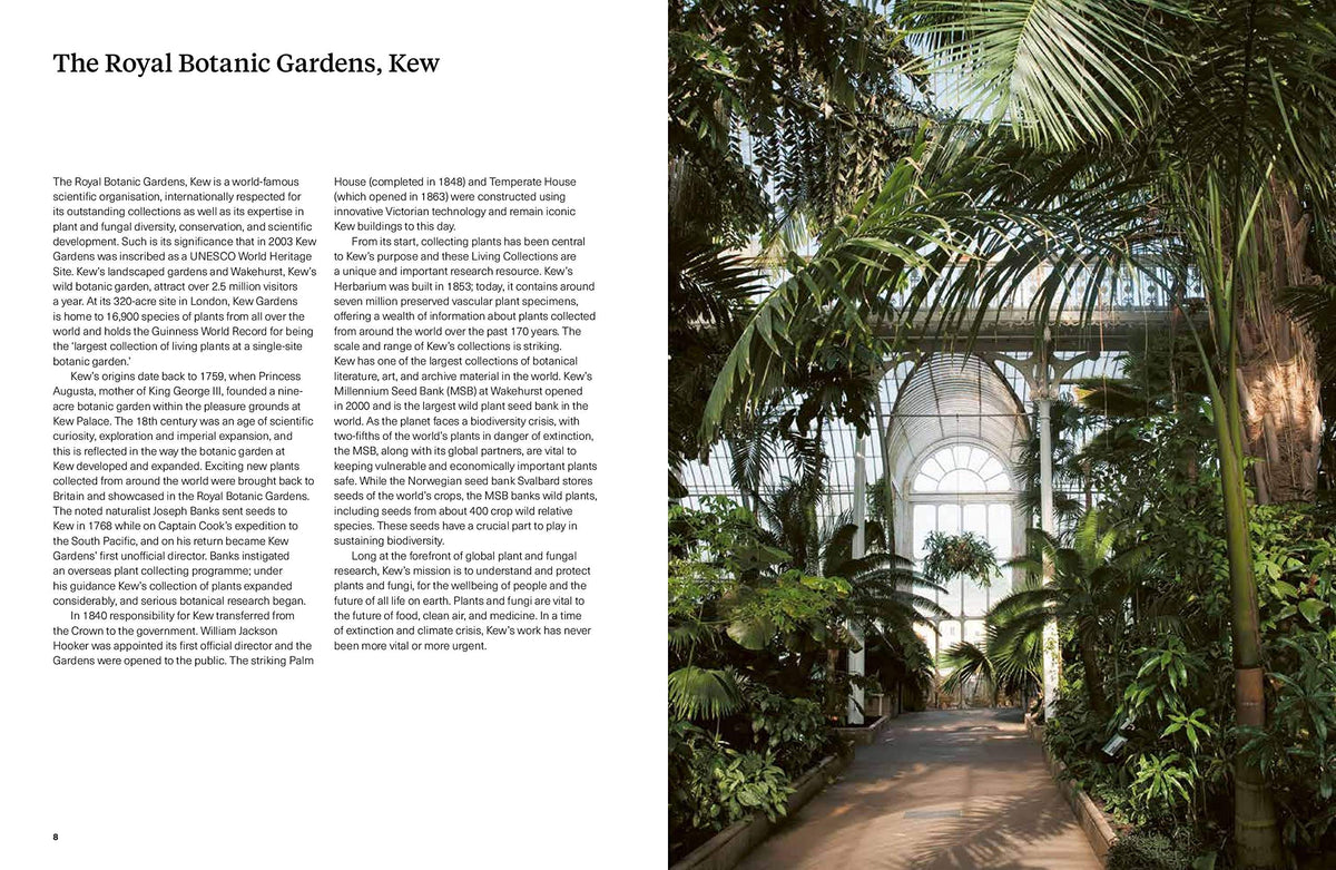 The Kew Gardens Salad Book main image 0