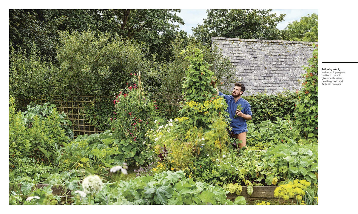 Buy The Vegetable Grower's Handbook Unearth Your Garden's Full
