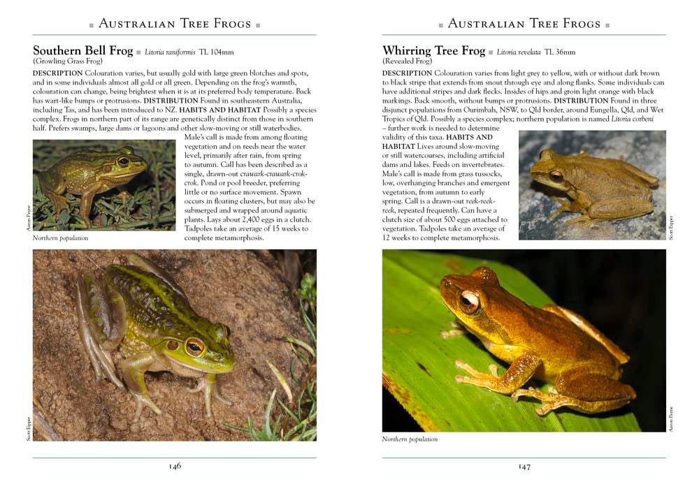 Frog Guide Buy A Naturalist's Guide to the Frogs of Australia by Australian ...