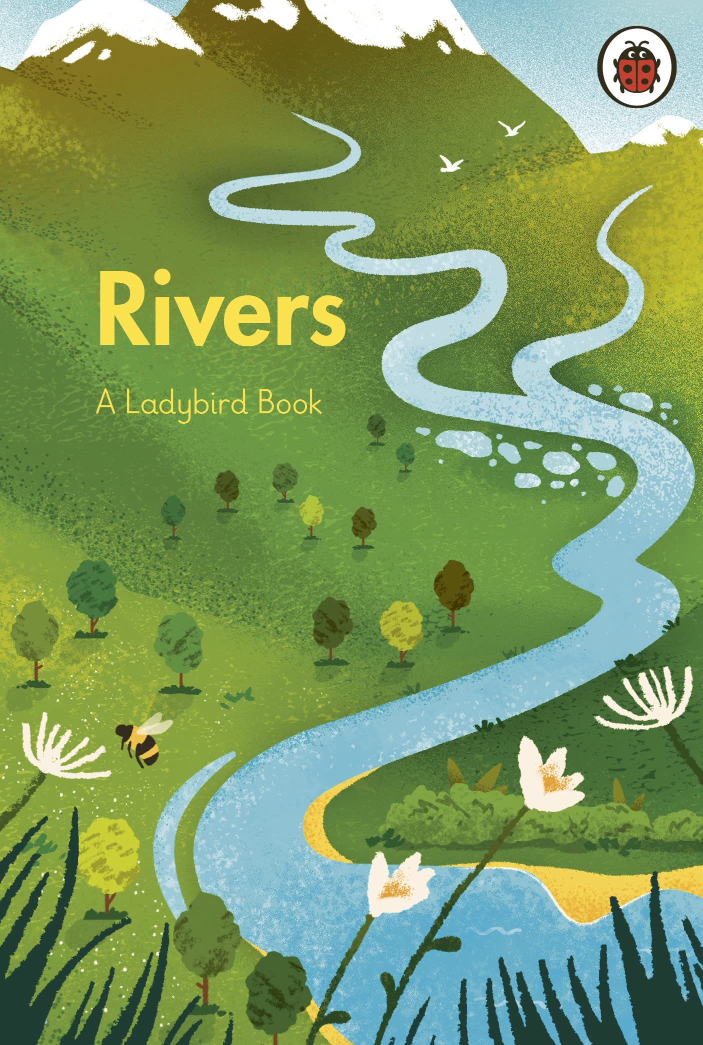 Rivers: A Ladybird Book