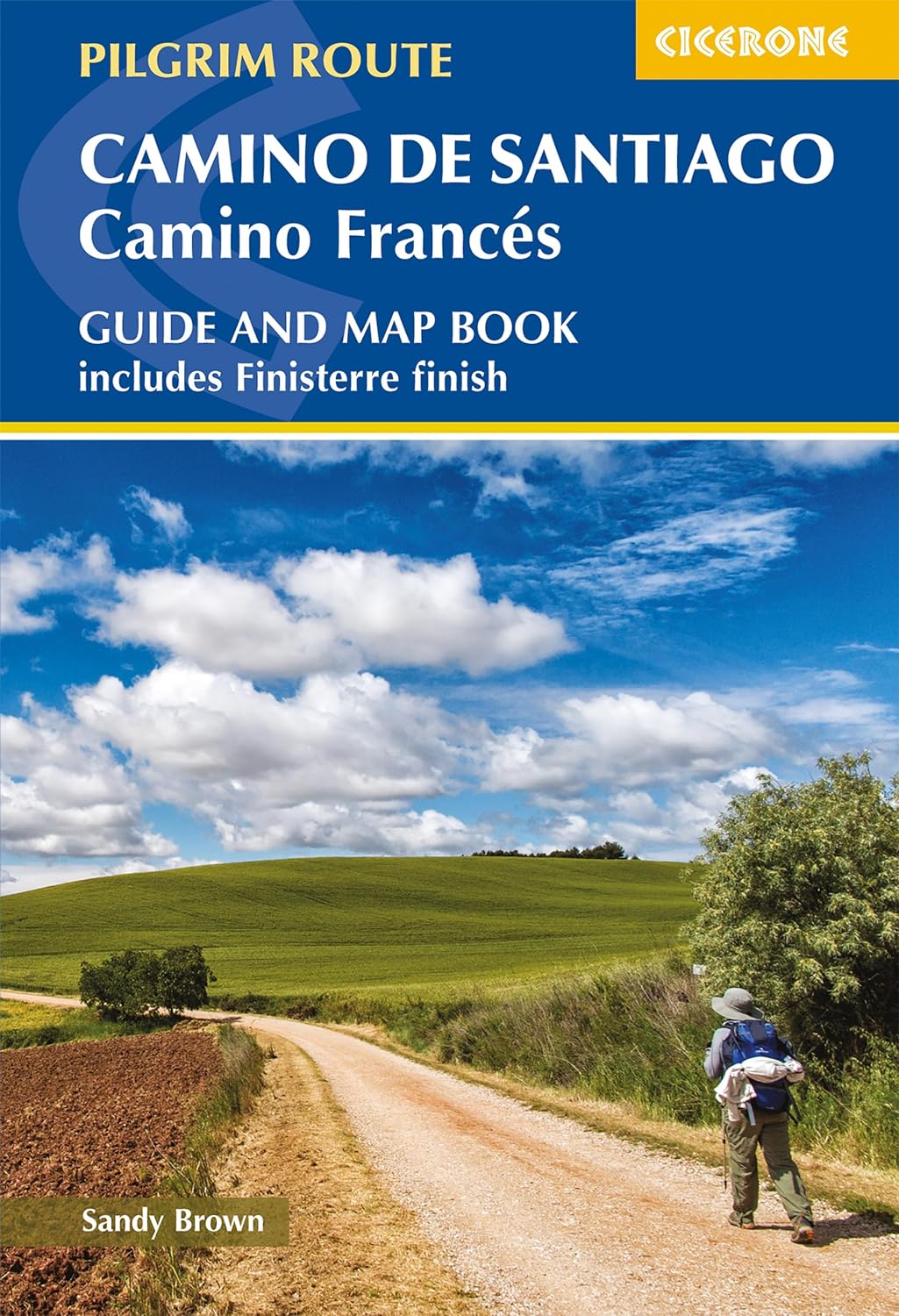 Camino de Santiago: Camino Frances Guide & Map Book