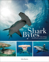 Shark Bytes (by John Bantin)