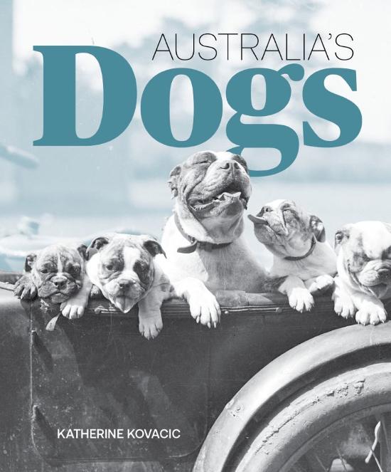 Australia's Dogs