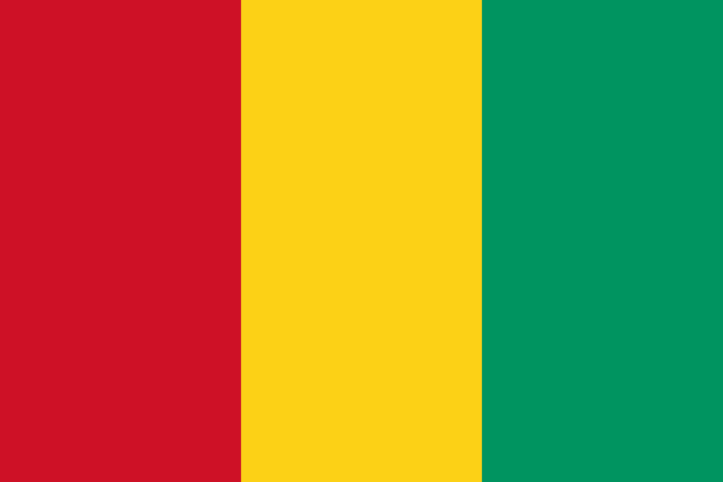 Guinea Flag 6ft x 3ft