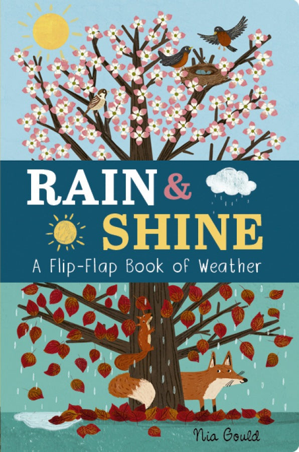 Rain and Shine: A Flip-Flap Book of Weather