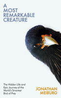 A Most Remarkable Creature^