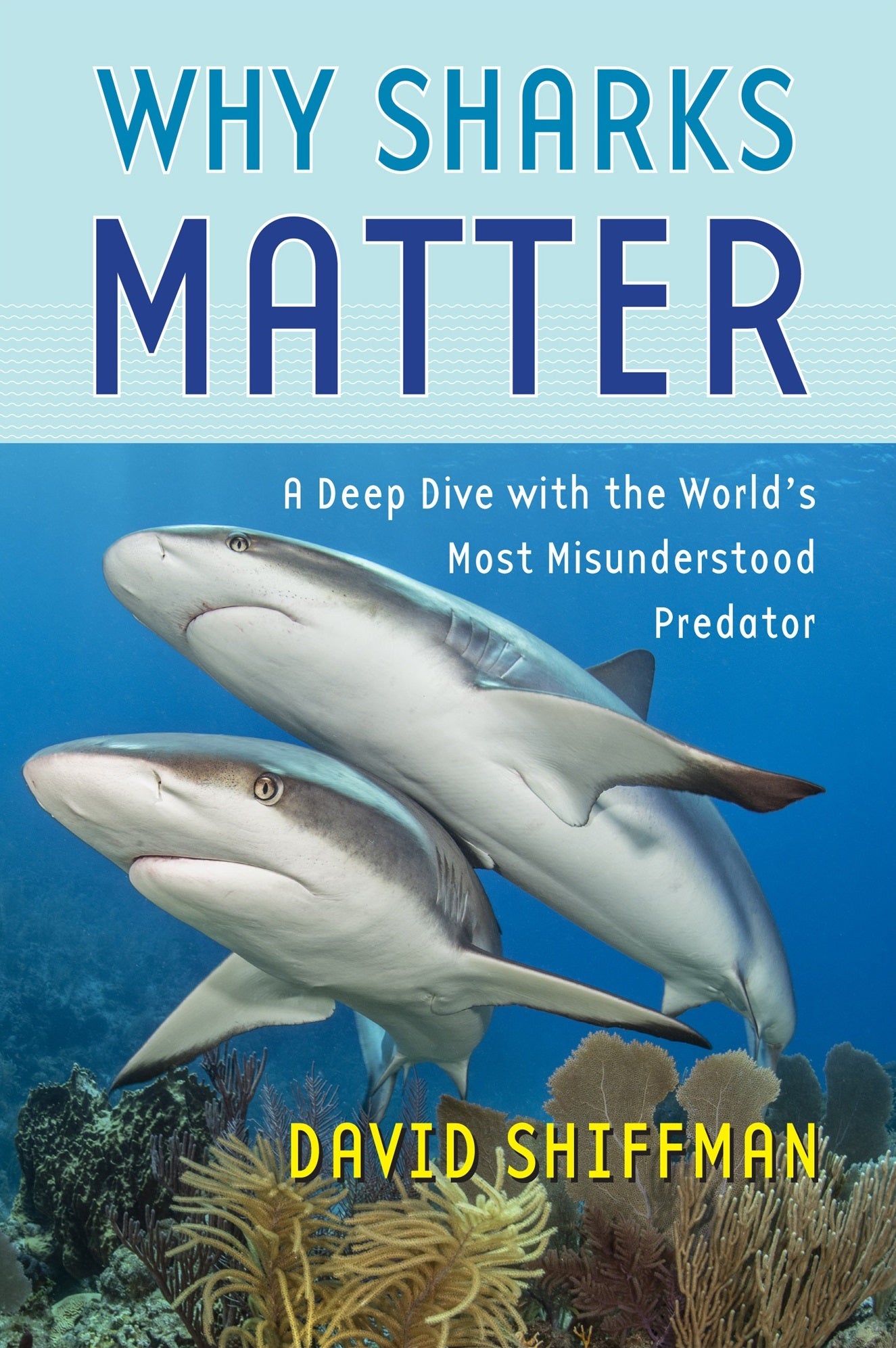Why Sharks Matter: A Deep Dive with the World's Most Misunderstood Predator