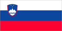 Slovenia Flag 6ft x 3ft