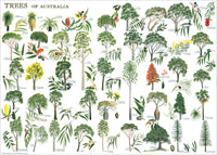 Trees Chart Poster