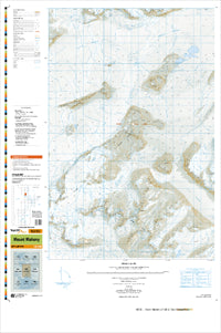 MD08 Mount Mahony Topographic Map by Land Information New Zealand (2012)