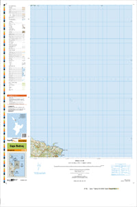 AY32 Cape Rodney Topographic Map by Land Information New Zealand (2013)