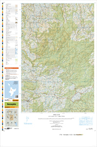 BF34 Benneydale Topographic Map by Land Information New Zealand (2013)