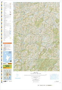 BG42 Ngatapa Topographic Map by Land Information New Zealand (2011)