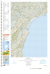 BM38 Porangahau Topographic Map by Land Information New Zealand (2009)