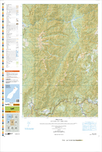 BR22 Lyell Topographic Map by Land Information New Zealand (2009)