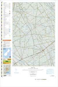 BY20 Hinds Topographic Map by Land Information New Zealand (2013)