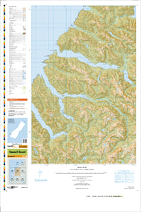 CC06 Caswell Sound Topographic Map by Land Information New Zealand (2010)