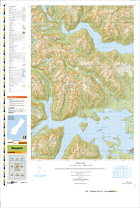 CD07 Manapouri Topographic Map by Land Information New Zealand (2011)