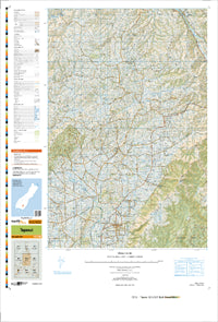 CE13 Tapanui Topographic Map by Land Information New Zealand (2013)