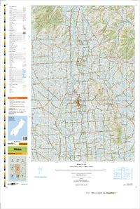 CF10 Winton Topographic Map by Land Information New Zealand (2009)