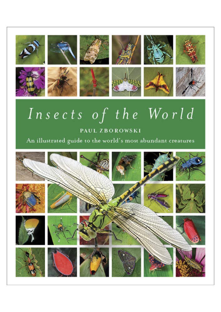 Insects of the World: A Fully Illustrated Guide to the Planet’s Most Populous Group of Animals