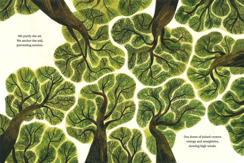 Buy Be a Tree! – The Chart & Map Shop