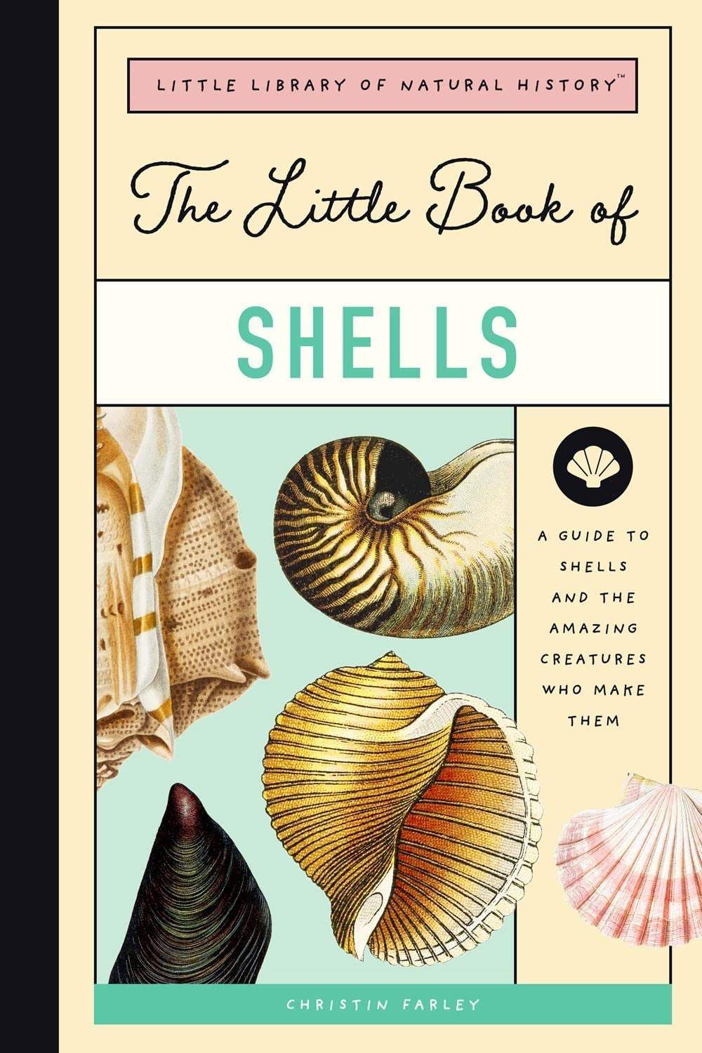 Buy The Little Book of Shells: A Guide to Shells and the Amazing ...