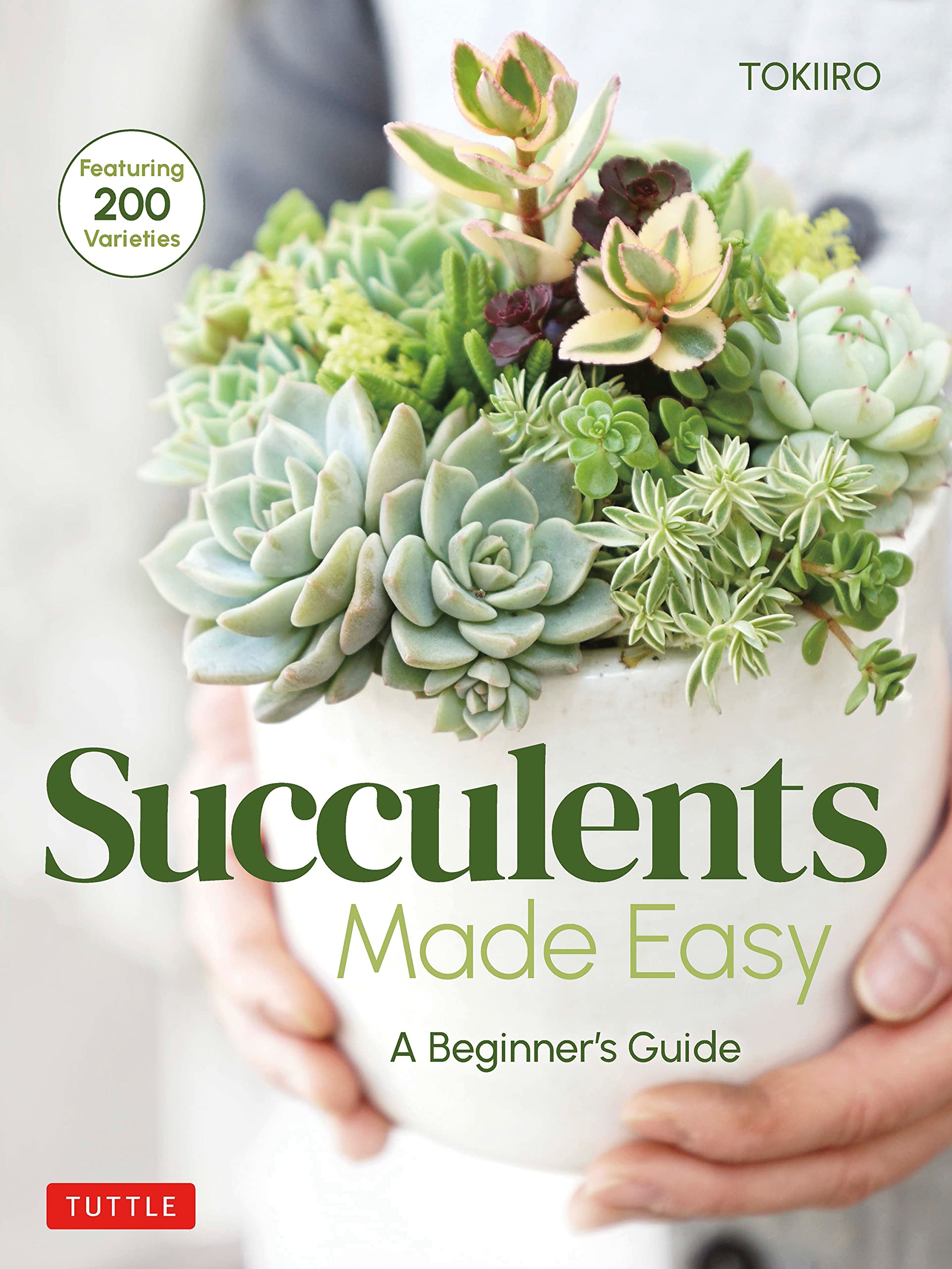 Succulents Made Easy