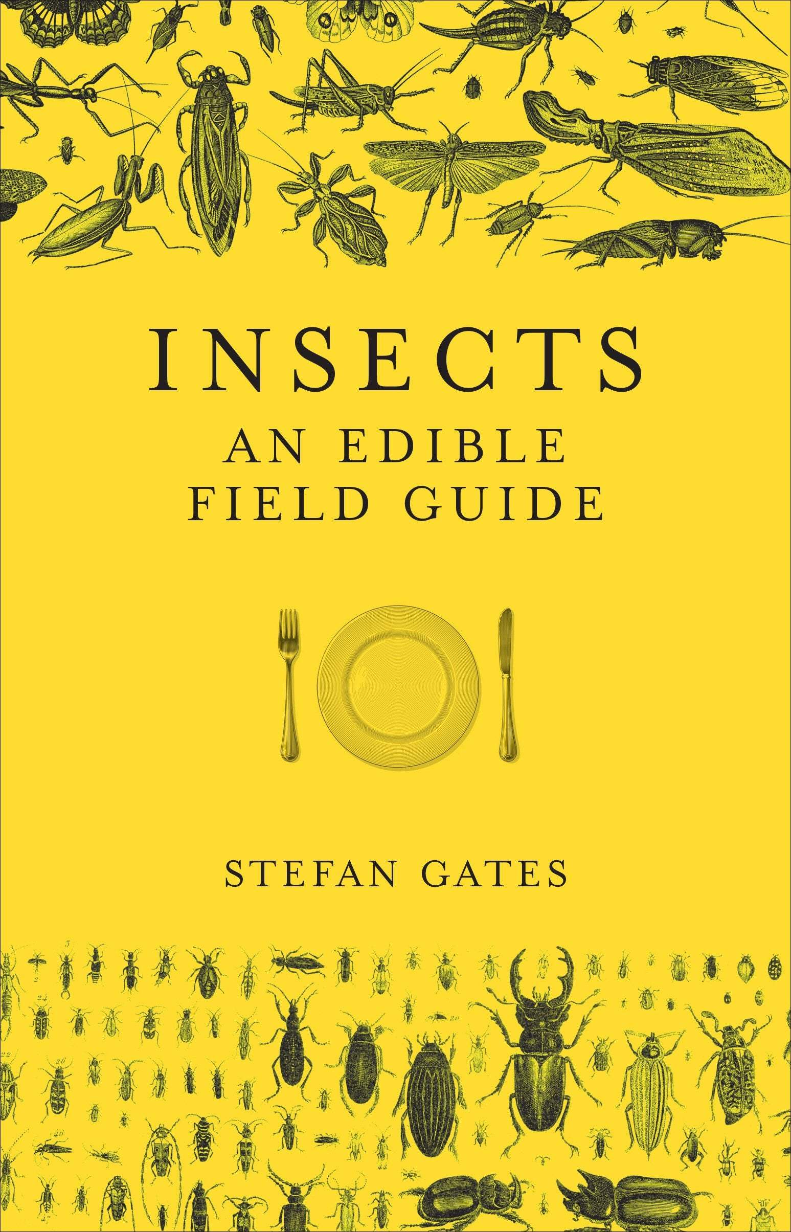 Buy Insects: An Edible Field Guide – The Chart & Map Shop