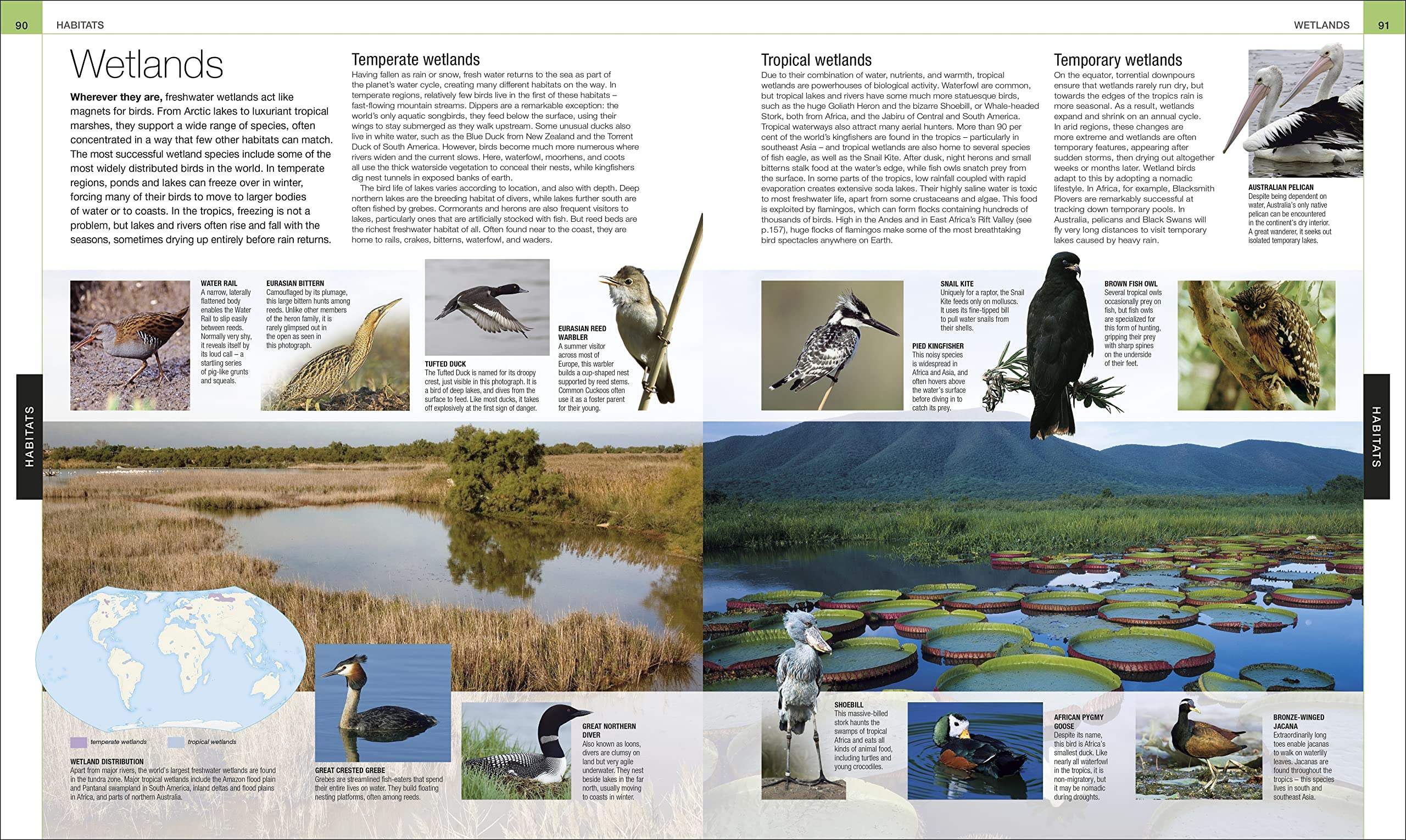 Buy Bird: The Definitive Visual Guide – The Chart & Map Shop