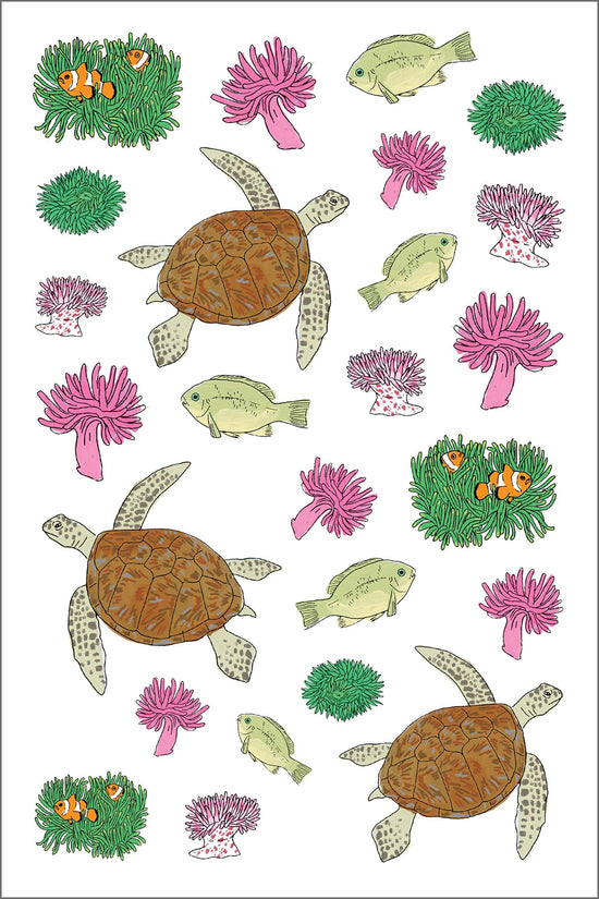 Buy Ocean Anatomy Sticker Book The Chart & Map Shop