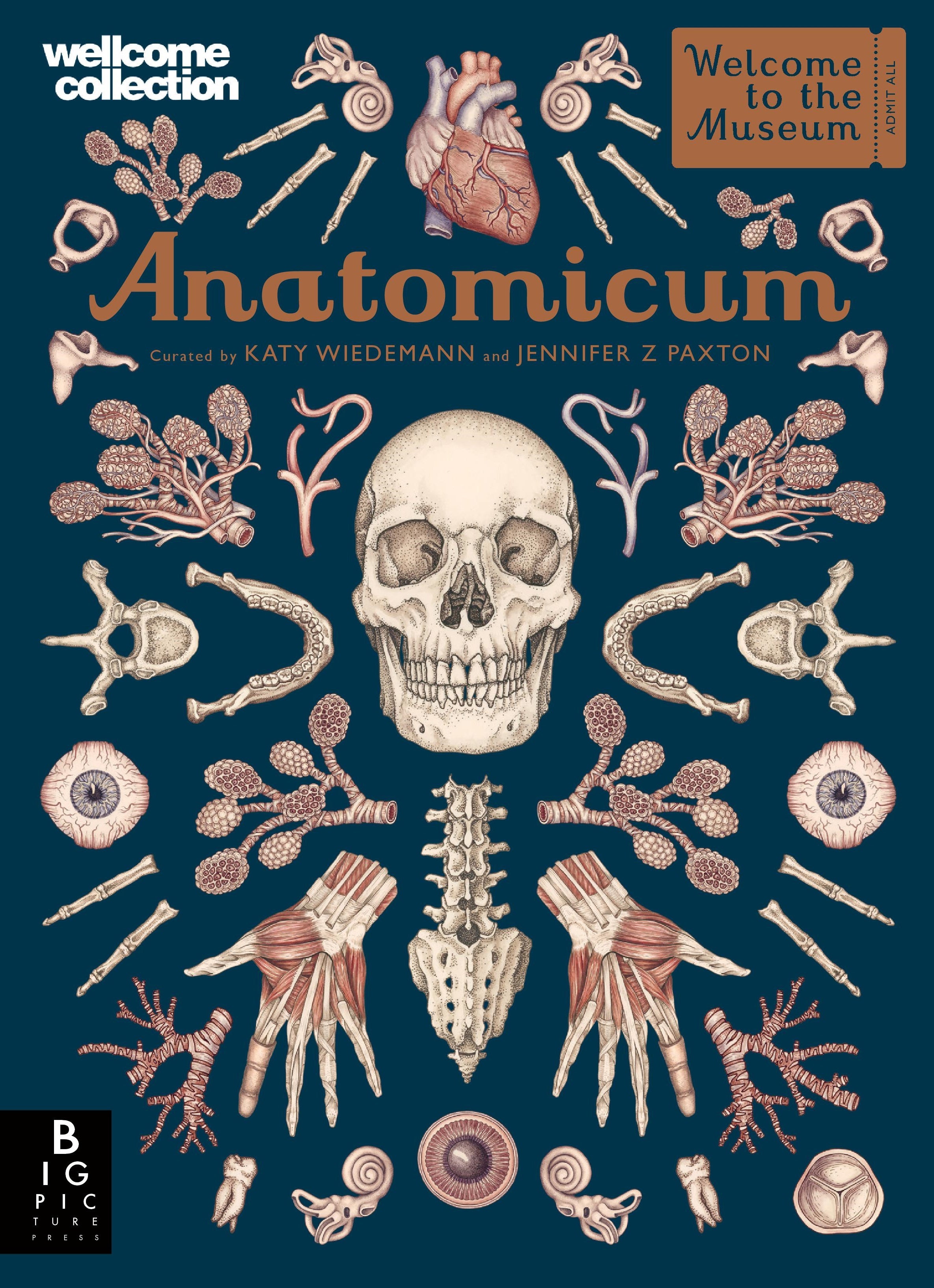 Anatomicum by Jennifer Paxton