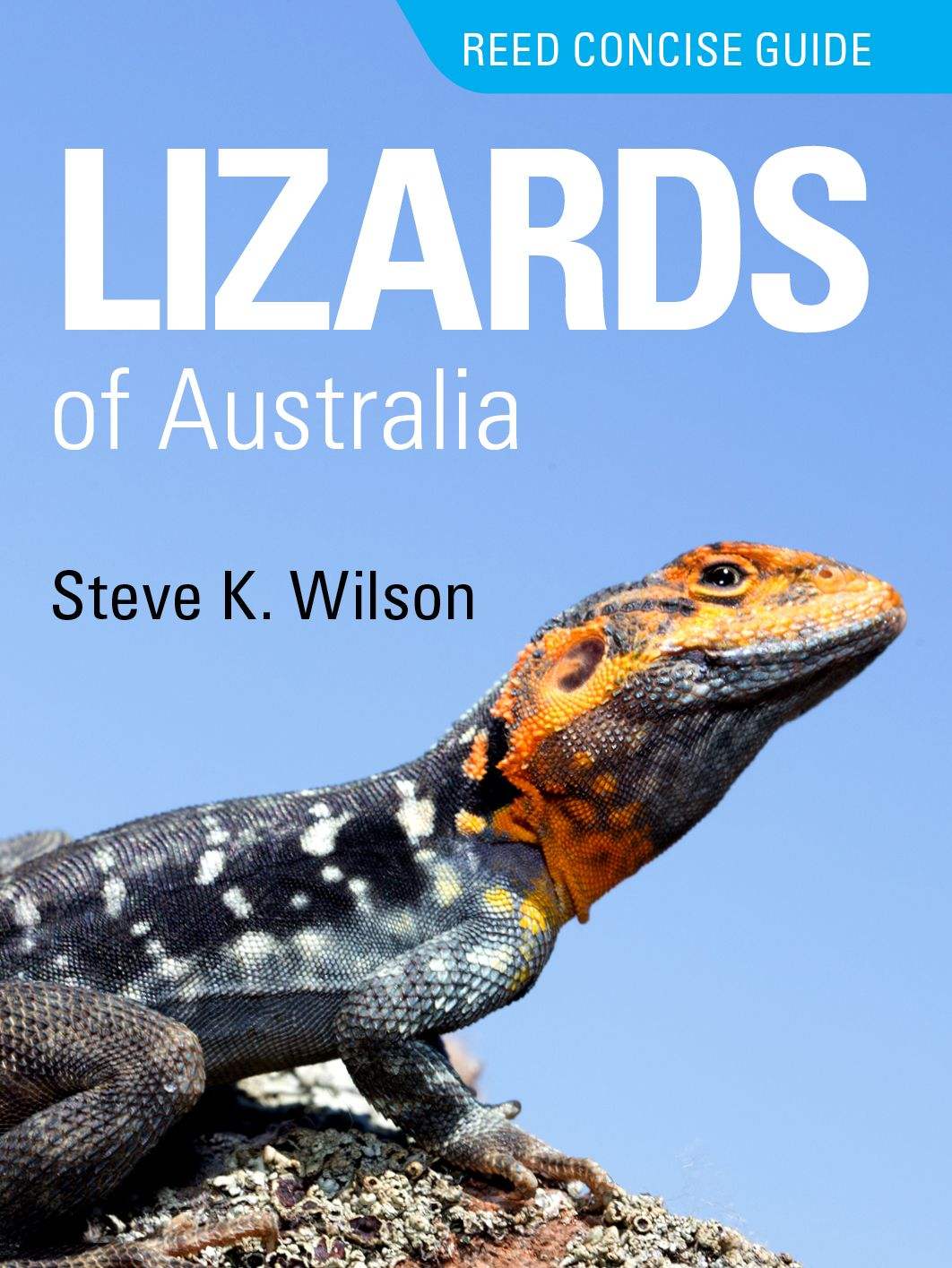 Buy Reed Concise Guide: Lizards of Australia – The Chart & Map Shop