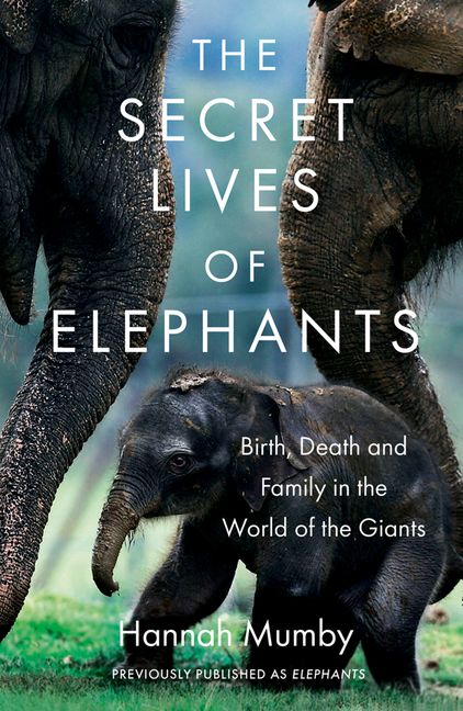 The Secret Lives of Elephants by Hannah Mumby